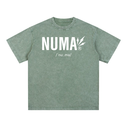 Unisex Snow Washed Oversized Cotton T-Shirt
