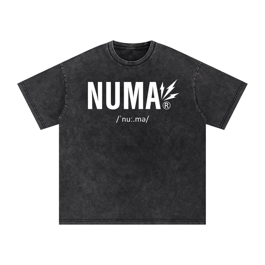 Unisex Snow Washed Oversized Cotton T-Shirt