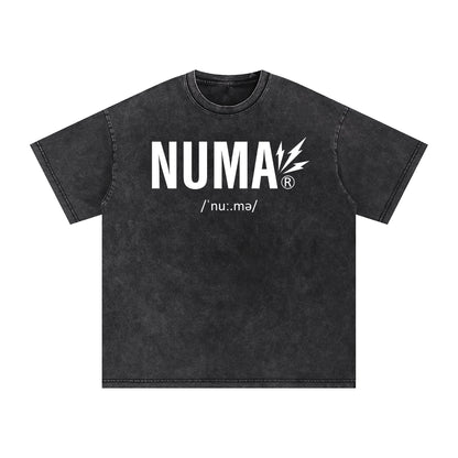 Áo thun cotton cỡ lớn Snow Washed