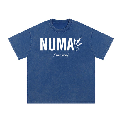 Áo thun cotton cỡ lớn Snow Washed