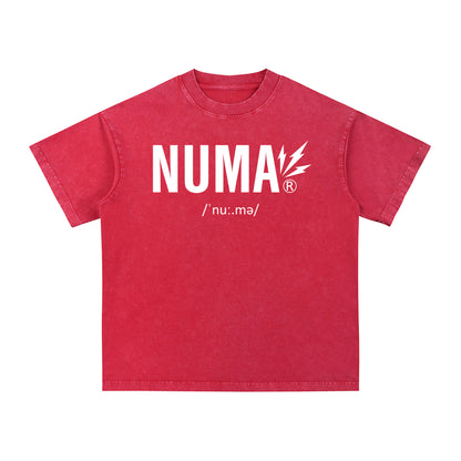 Áo thun cotton cỡ lớn Snow Washed