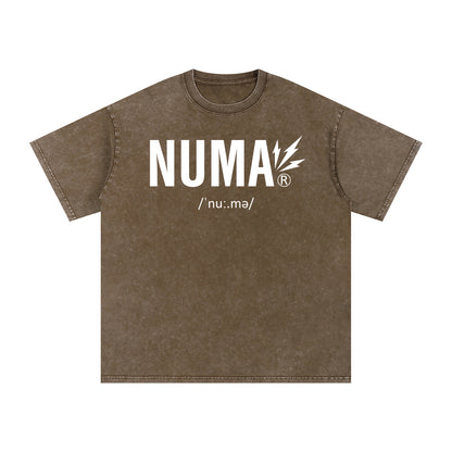 Áo thun cotton cỡ lớn Snow Washed