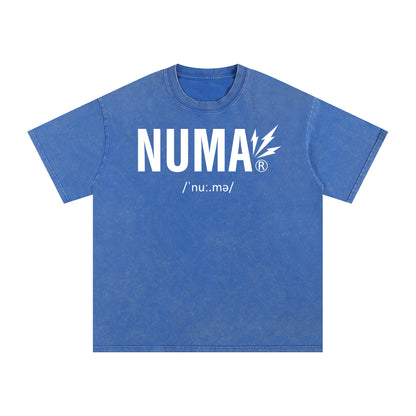 Áo thun cotton cỡ lớn Snow Washed