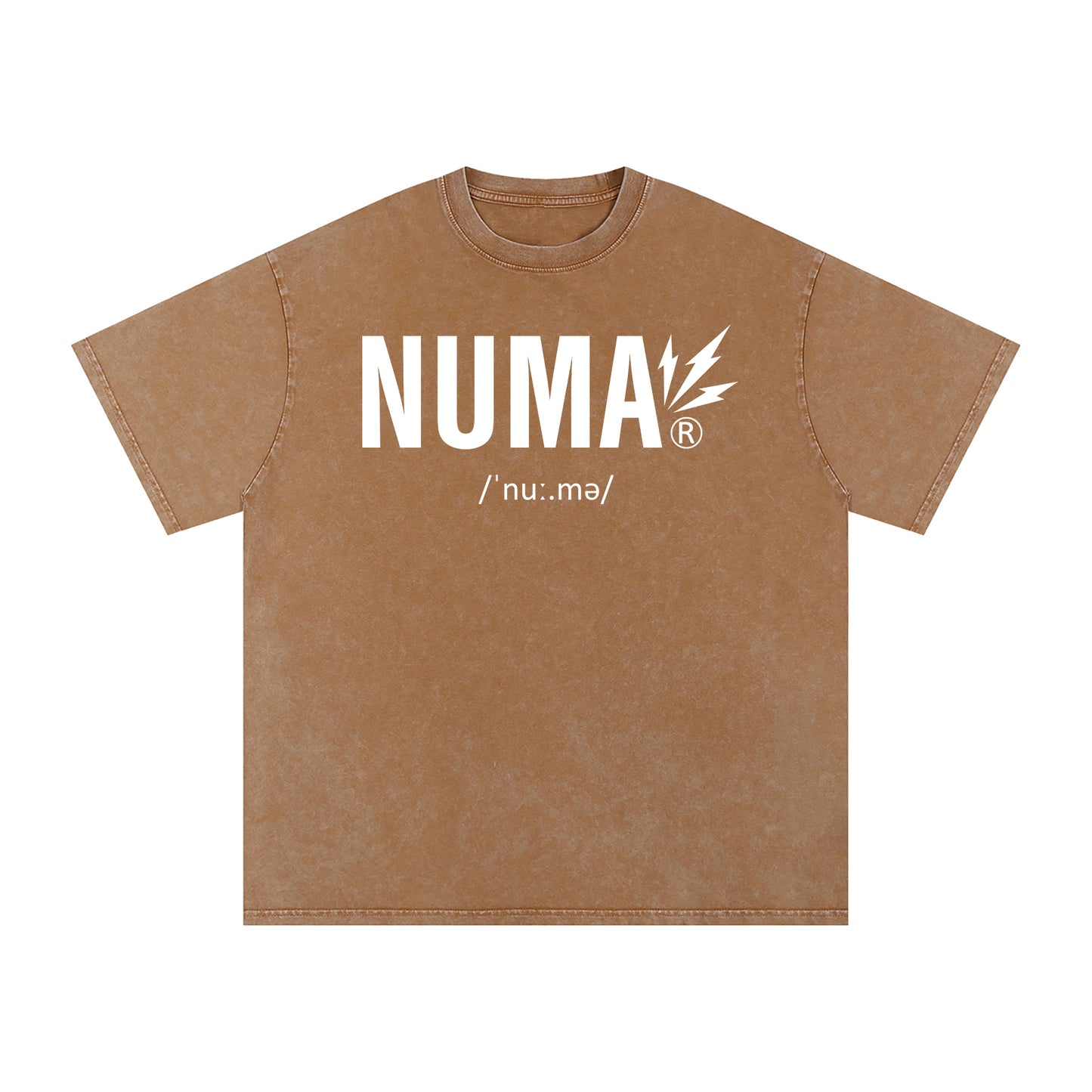 Unisex Snow Washed Oversized Cotton T-Shirt