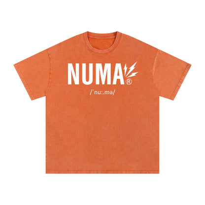 Áo thun cotton cỡ lớn Snow Washed