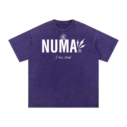 Unisex Snow Washed Oversized Cotton T-Shirt