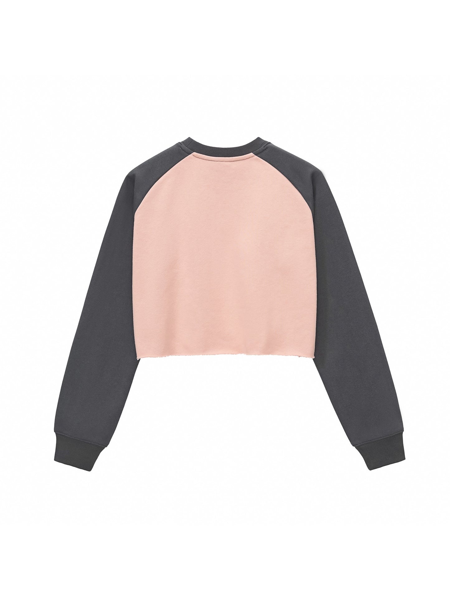 Raw-Hem Color-Block Raglan Crop Sweatshirt