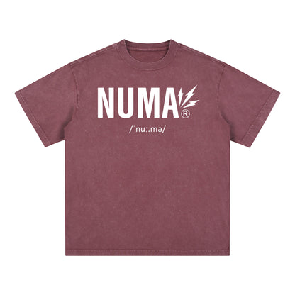 Áo thun cotton cỡ lớn Snow Washed