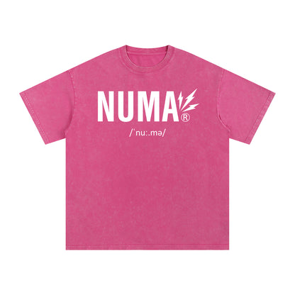 Áo thun cotton cỡ lớn Snow Washed