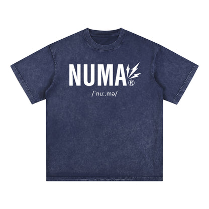 Áo thun cotton cỡ lớn Snow Washed