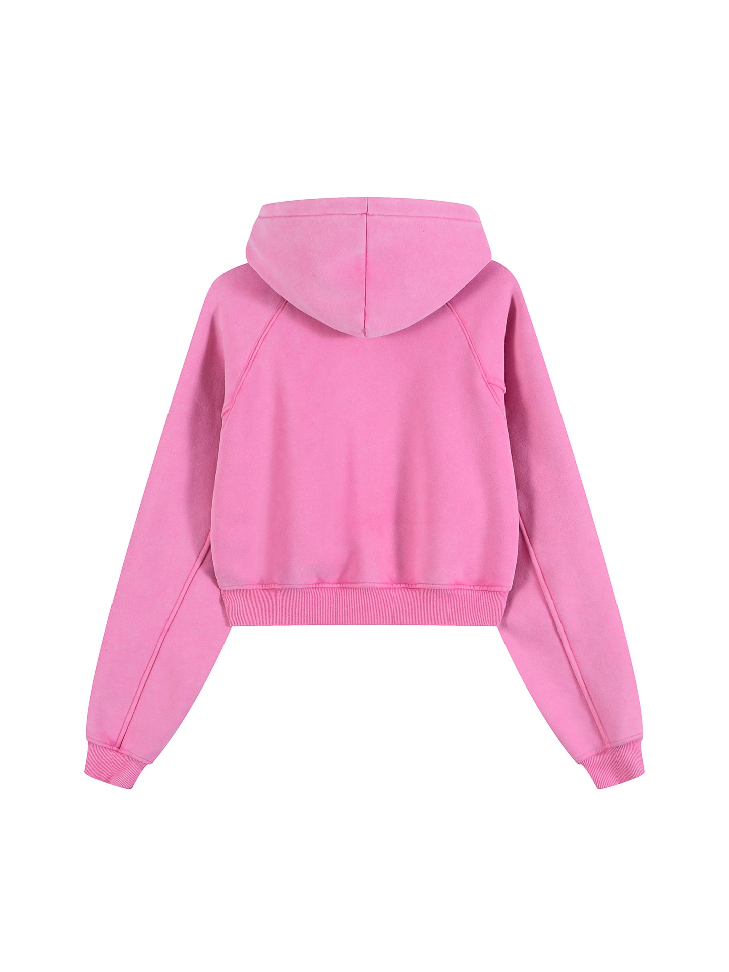 Snow Washed Cropped Hoodie