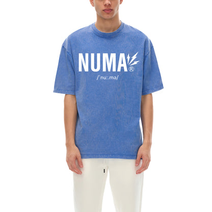 Áo thun cotton cỡ lớn Snow Washed